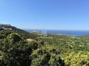 Vente Terrain constructible 1508 m2 Monticello