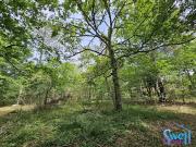 Vente Terrain constructible 1600 m2 Mézos