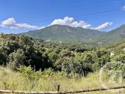 Vente Terrain constructible 1756 m2 Eccica Suarella