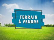 Vente Terrain constructible 1831 m2 Momas