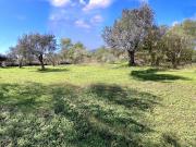 Vente Terrain constructible 2000 m2 Bagnols en Forêt