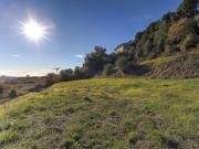 Vente Terrain constructible 2480 m2 Saint Laurent du Var