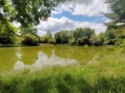 Vente Terrain constructible 26 m2 Vimartin sur Orthe