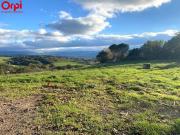 Vente Terrain constructible 2774 m2 Castres