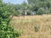 Vente Terrain constructible 400 m2 Sorgues