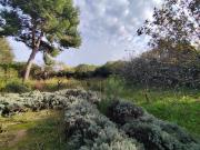 Vente Terrain constructible 404 m2 Marseillan Vente Terrain constructible 404 m2 Marseillan