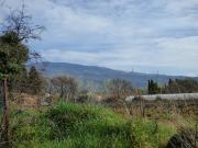 Vente Terrain constructible 590 m2 Bédoin