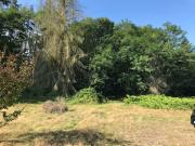 Vente Terrain constructible 6300 m2 La Ferté Saint Cyr