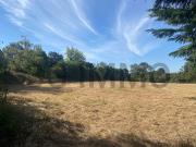 Vente Terrain constructible 7000 m2 Canteloup