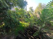 Vente Terrain constructible Nimes