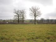 Vente Terrain constructible Nouhant