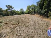 Vente Terrain constructible Saint Bauzille de la Sylve