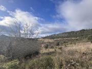 VENTE TERRAIN DE 5 211m² A CLERMONT L' HERAULT ZONE...