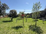 VENTE TERRAIN DE LOISIR ST JEAN DE LA BLAQUIERE