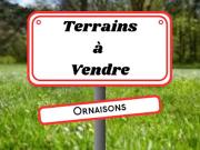 Vente Terrain de loisirs 0 m2 Ornaisons