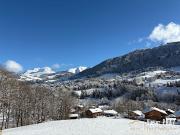 Vente Terrain de loisirs 1200 m2 Megeve