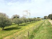 Vente Terrain de loisirs 12040 m2 Saint maximin