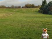 Vente Terrain de loisirs 1345 m2 Fontaine Mâcon