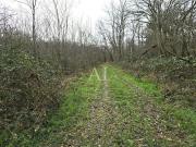 Vente Terrain de loisirs 259641 m2 Neuvy sur Barangeon