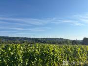 Vente Terrain de loisirs 446 m2 Bernardswiller