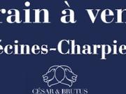 Vente Terrain de loisirs 680 m2 Decines charpieu