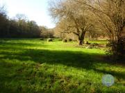 Vente Terrain de loisirs 7138 m2 Quimper