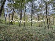 Vente Terrain de loisirs 82016 m2 Barbaste