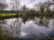 Vente Terrain de loisirs 8253 m2 Montcornet