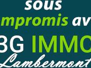 Vente Terrain de loisirs Mexy