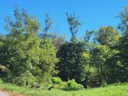 Vente Terrain de loisirs Queige