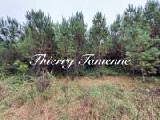 Vente Terrain de loisirs Saint Pé Saint Simon