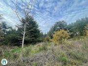 Vente Terrain 3000 m2 Fontiers Cabardès