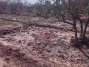 Vente Terrain nu de 1167 m2 à Marrakech