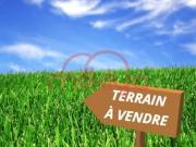 Vente Terrain nu de 90000 m2 à Chichaoua