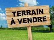 Vente Terrain Petit bourg