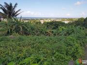 Vente Terrain Sainte Suzanne
