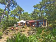 Vente Viager 5 pièces 120 m2 Meschers sur Gironde Vente Viager 5 pièces 120 m2 Meschers sur Gironde