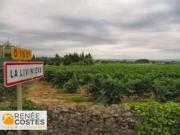 Vente Viager 5 pièces 109 m2 La Livinière