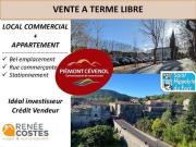 Vente Viager 5 pièces 213 m2 Nimes