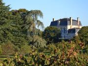 Vente Vignoble 15 pièces 2500 m2 Bordeaux