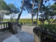 Vente Vignoble 30 pièces 3900 m2 Avignon