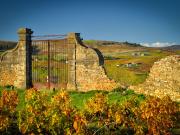 Vente Vignoble Villefranche sur saone