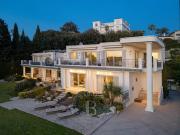 Vente Villa 10 pièces 821 m2 Antibes