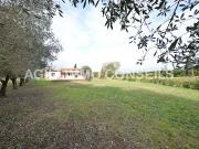 Vente Villa 3 pièces 111 m2 Frejus