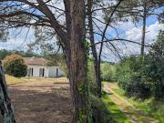 Vente Villa 5 pièces 150 m2 Hagetmau