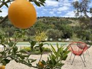 Vente Villa 6 pièces 250 m2 Plan de la Tour