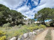 Vente Villa 7 pièces 132 m2 Clermont l'herault