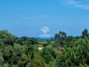 Vente Villa 9 pièces 215.61 m2 Solaro