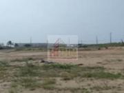 Veracruz,Coatzacoalcos,Las Barrillas,Terreno en Venta