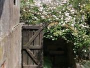 Vérités Dame, casa no Centro Histórico do Porto